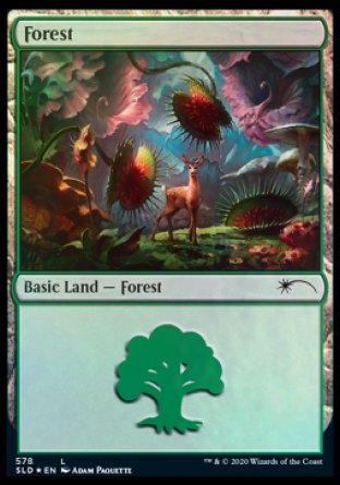 Forest (Predatory) (578) [Secret Lair Drop Promos] | Gam3 Escape