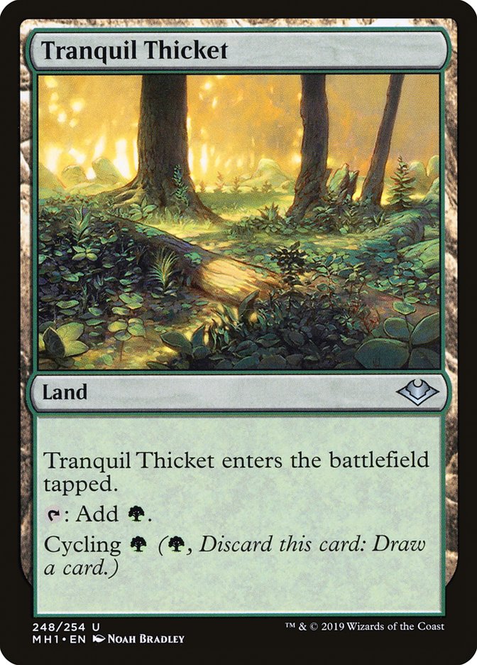 Tranquil Thicket [Modern Horizons] | Gam3 Escape