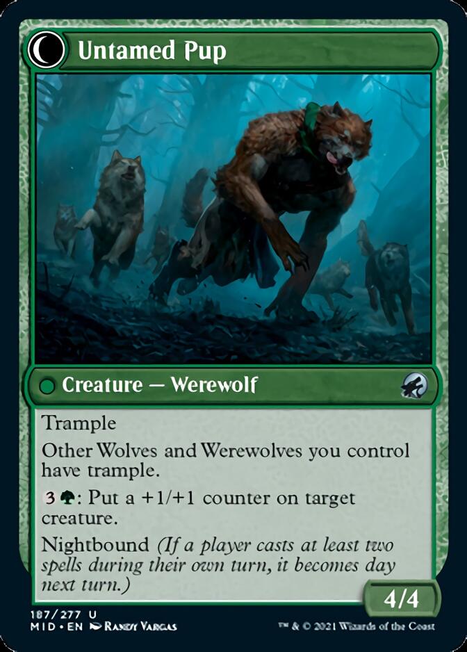 Hound Tamer // Untamed Pup [Innistrad: Midnight Hunt] | Gam3 Escape