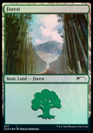 Forest (Walls) (577) [Secret Lair Drop Promos] | Gam3 Escape