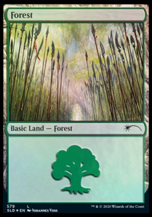 Forest (Elves) (579) [Secret Lair Drop Promos] | Gam3 Escape