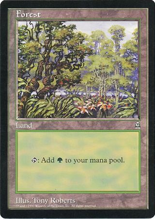 Forest (Oversized) [Oversize Cards] | Gam3 Escape