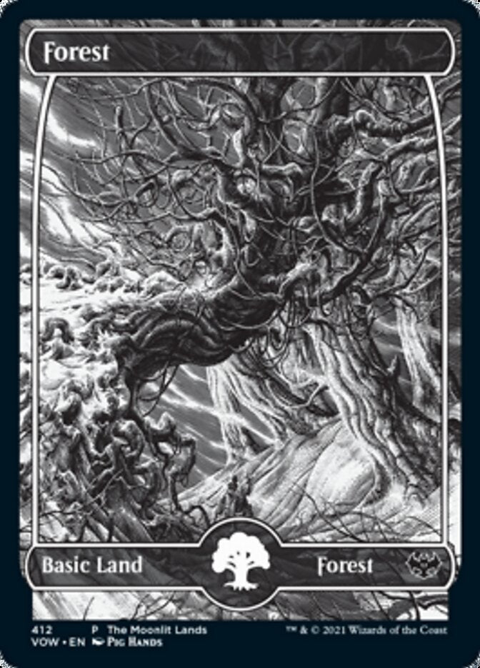 Forest (The Moonlit Lands) (Foil Etched) [Innistrad: Crimson Vow Promos] | Gam3 Escape