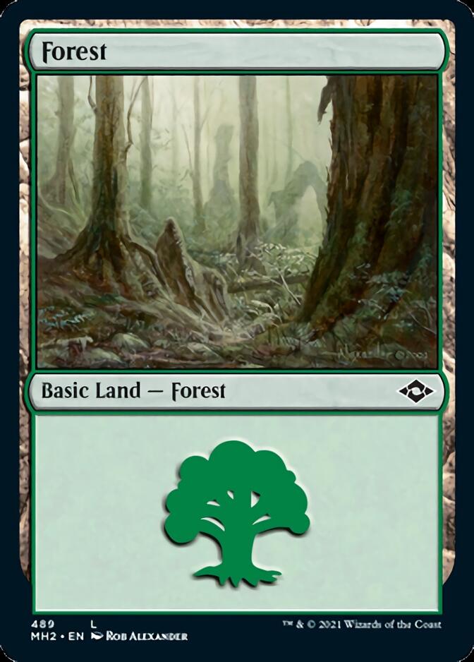 Forest (489) (Foil Etched) [Modern Horizons 2] | Gam3 Escape