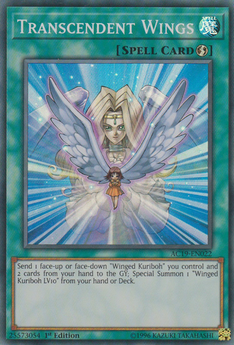 Transcendent Wings [AC19-EN022] Super Rare | Gam3 Escape