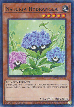 Naturia Hydrangea (Duel Terminal) [HAC1-EN107] Common | Gam3 Escape