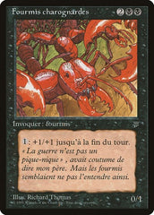 Carrion Ants (French) - "Fourmis charognardes" [Renaissance] | Gam3 Escape