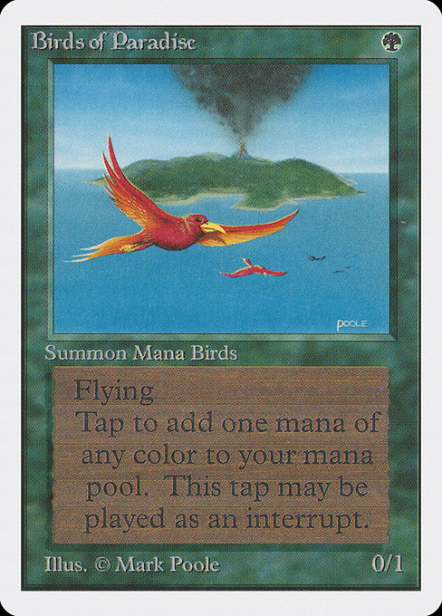 Birds of Paradise [Unlimited Edition] | Gam3 Escape