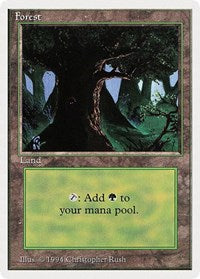 Forest (C) [Summer Magic] | Gam3 Escape