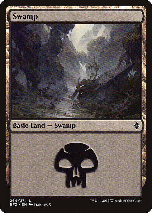 Swamp [Battle for Zendikar] | Gam3 Escape