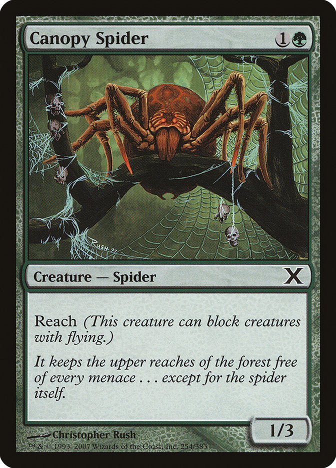 Canopy Spider [Tenth Edition] | Gam3 Escape