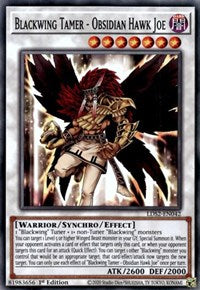 Blackwing Tamer - Obsidian Hawk Joe [LDS2-EN042] Common | Gam3 Escape