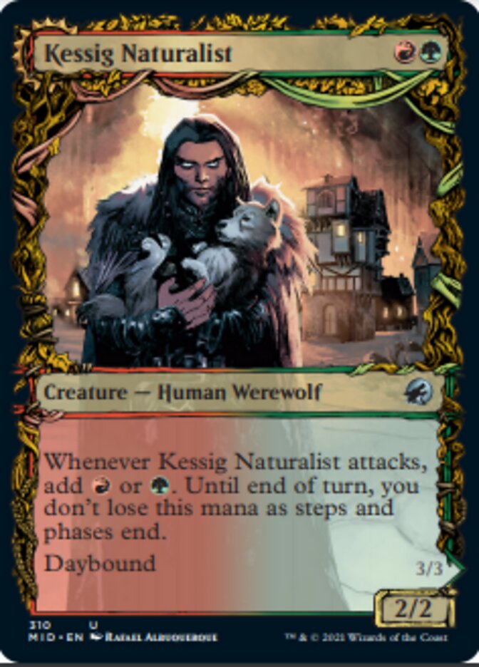 Kessig Naturalist // Lord of the Ulvenwald (Showcase Equinox) [Innistrad: Midnight Hunt] | Gam3 Escape