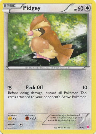 Pidgey (29/30) [XY: Trainer Kit 1 - Wigglytuff] | Gam3 Escape