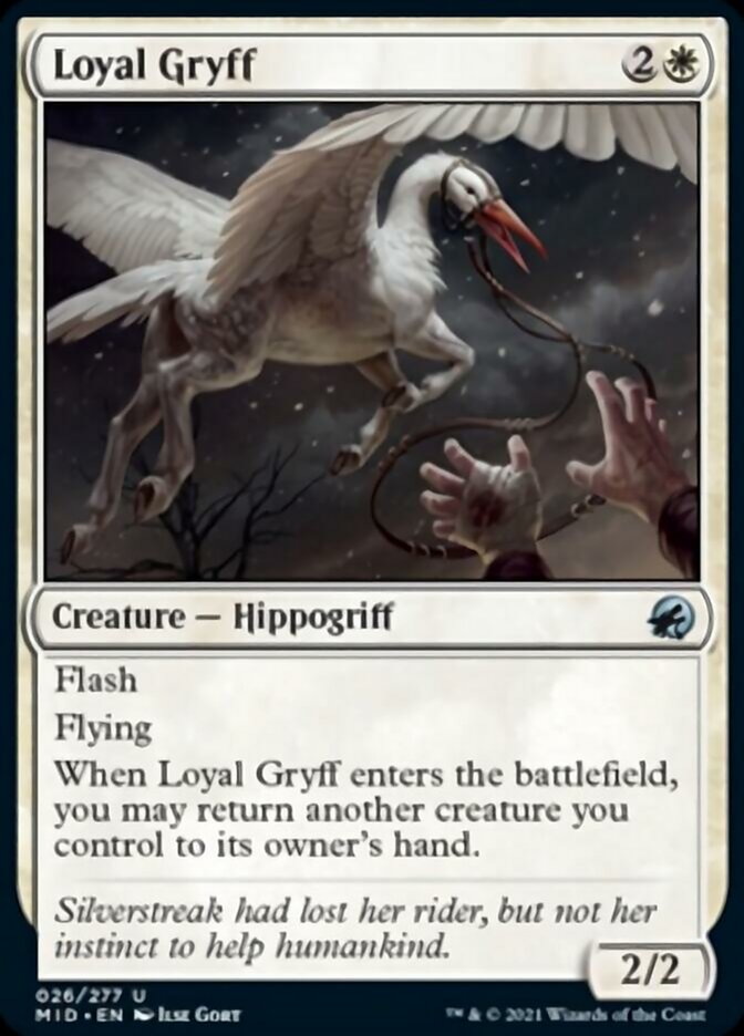 Loyal Gryff [Innistrad: Midnight Hunt] | Gam3 Escape