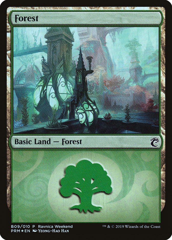 Forest (B09) [Ravnica Allegiance Guild Kit] | Gam3 Escape