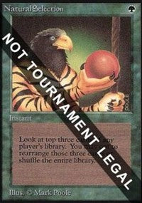 Natural Selection (IE) [Intl. Collectors’ Edition] | Gam3 Escape