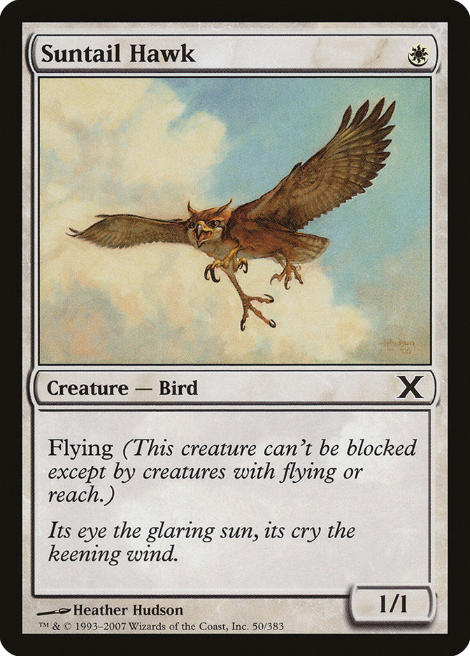 Suntail Hawk [Tenth Edition] | Gam3 Escape