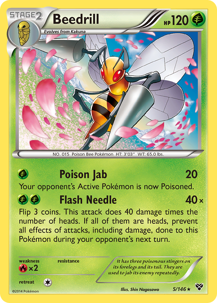 Beedrill (5/146) [XY: Base Set] | Gam3 Escape