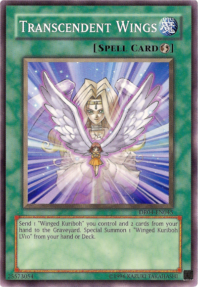 Transcendent Wings [DR04-EN045] Common | Gam3 Escape